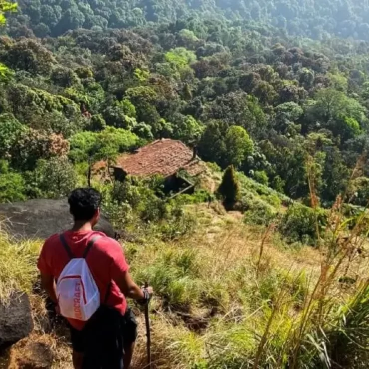 Best Luxury Homestay in Chikmagalur – Experience Premium Comfort at Varenya Life