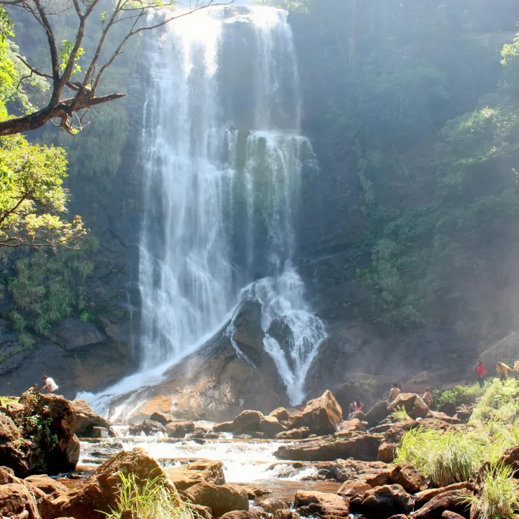 Varenya.life – The Perfect Homestay in Chikmagalur with Waterfalls
