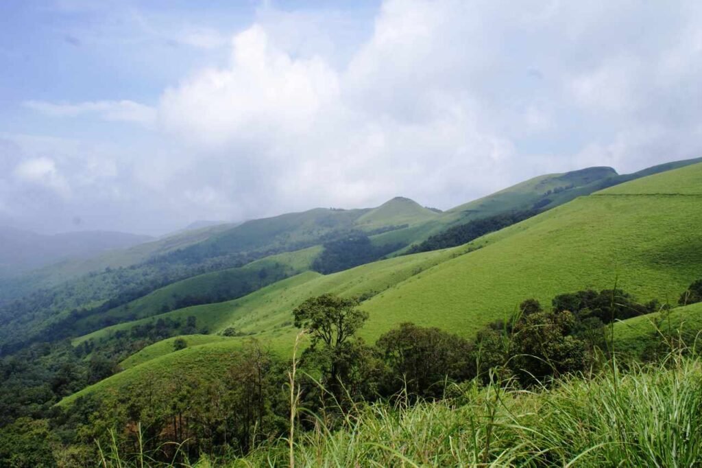 Discover Chikkamagaluru – The Coffee Haven of South India