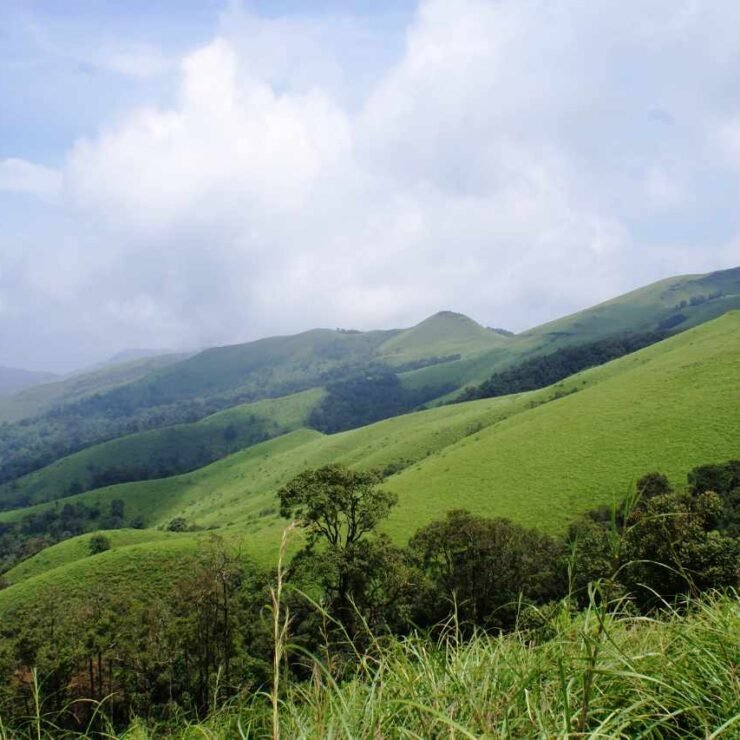 Wellness Vacation in Nature: Luxury Stays for Nature Lovers in Karnataka at Varenya.life